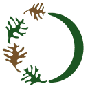 Oak Pensions